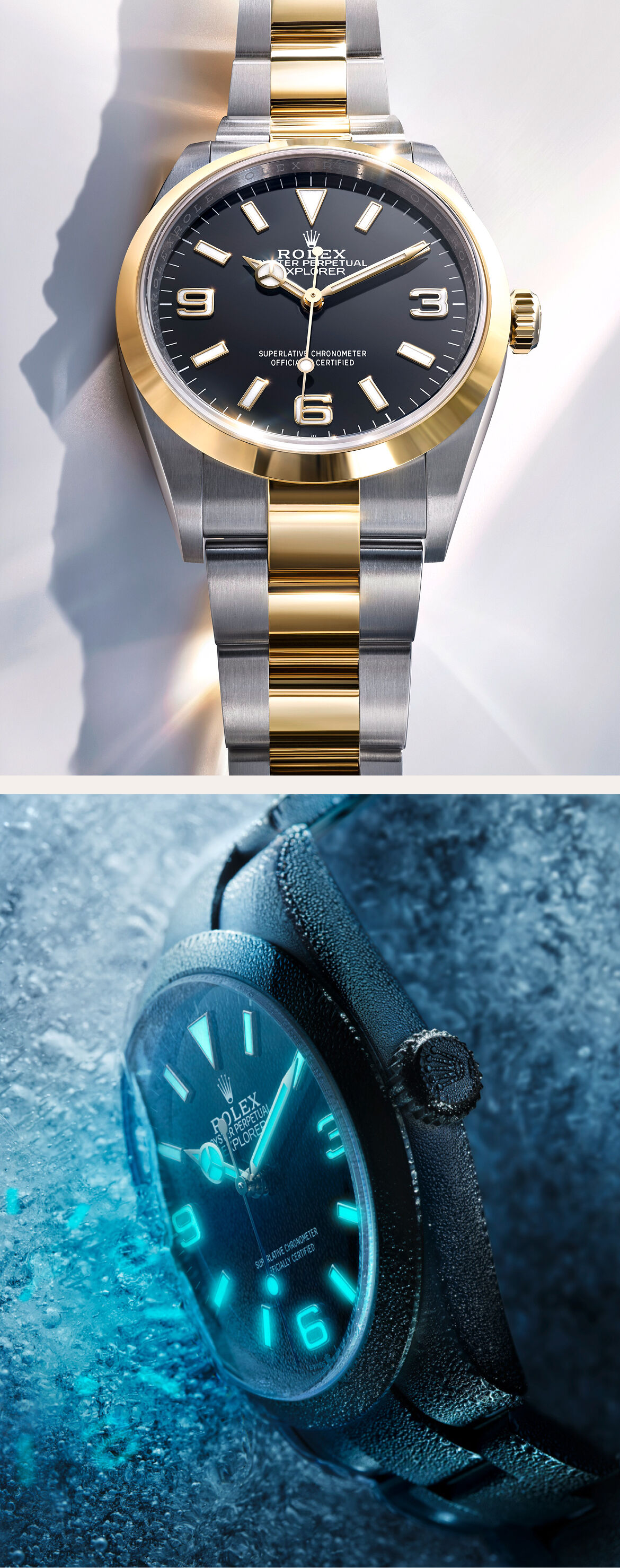 Rolex Explorer Watches | Maison Birks