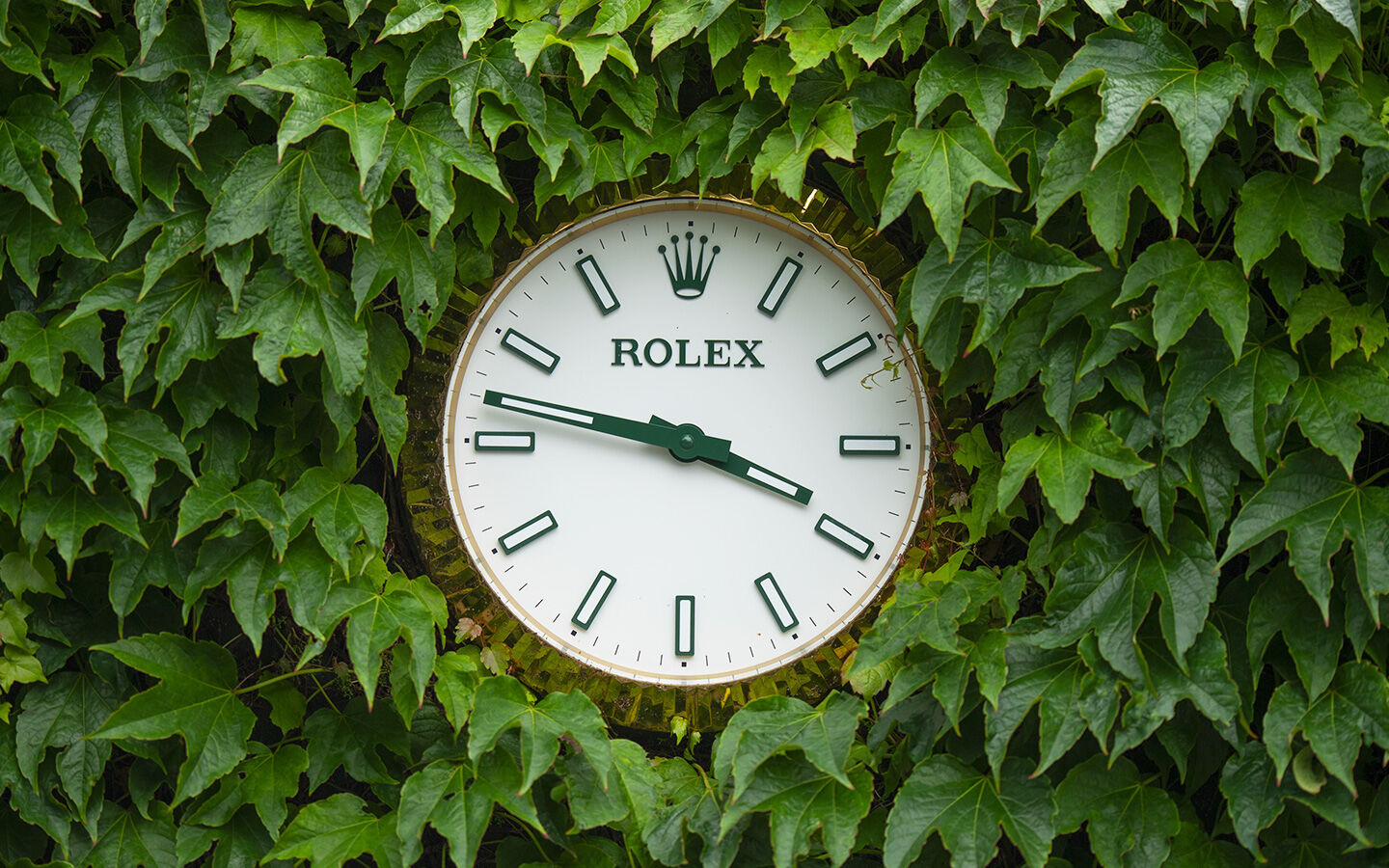 Rolex clock in a hedge