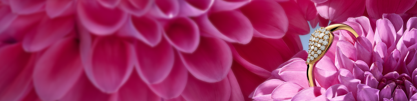 Birks Pétale diamond yellow gold ring on a pink flower background.
