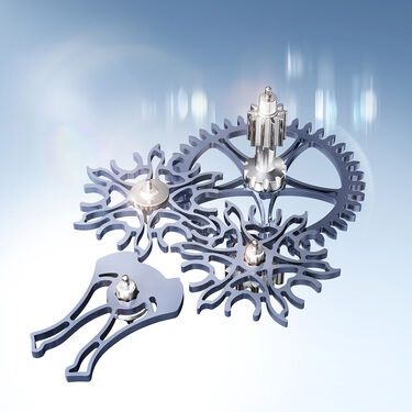 rolex Land-Dweller watches - Maison Birks