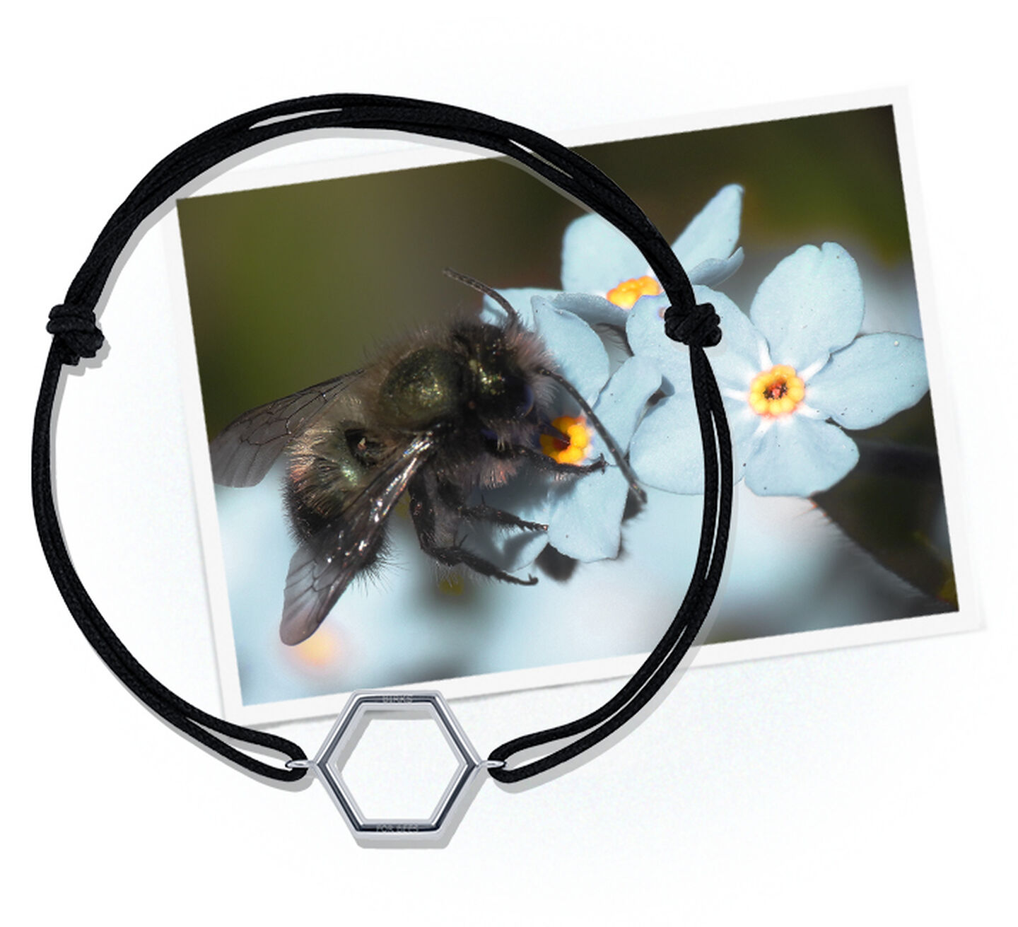 Silver hexagonal charm on a black bracelet on a photograph of a bee
