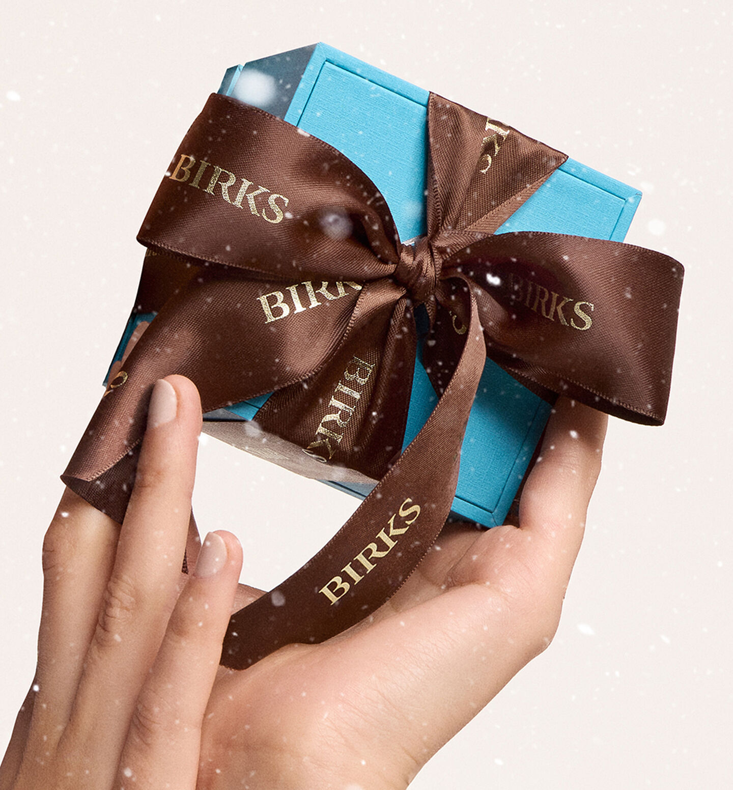 A hand holding a Birks blue box on a snowy background