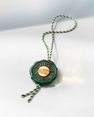 rolex new 1908 watches 2025 - Maison Birks