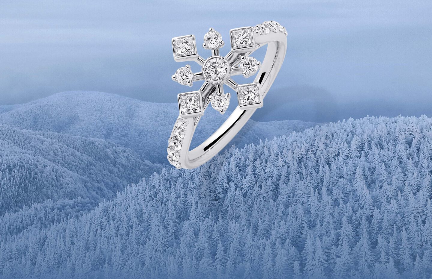 <font color="white">Explore the magic of snowflakes.</font>