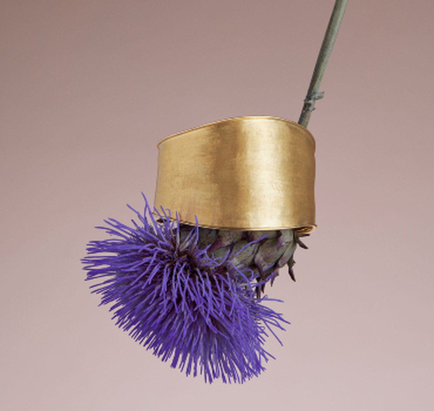 Un bracelet en or Lunaria sur une fleur.