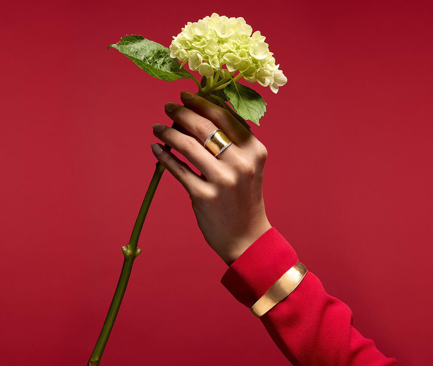 A woman holding a rose wearing Maison Birks jewellery on a red background.