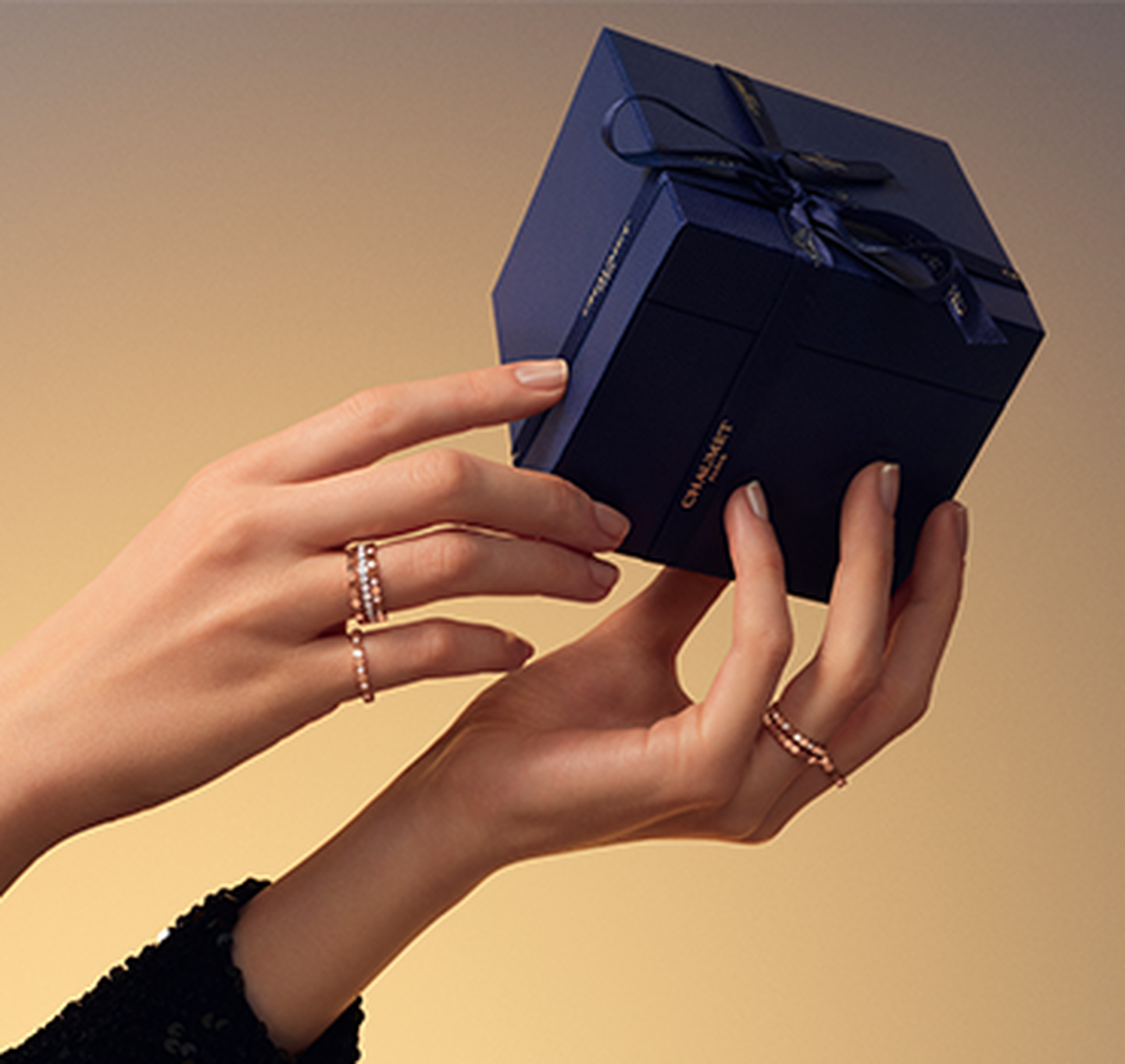 Une main de femme portant des bagues Chaumet Bee My Love et tenant un coffret Chaumet.