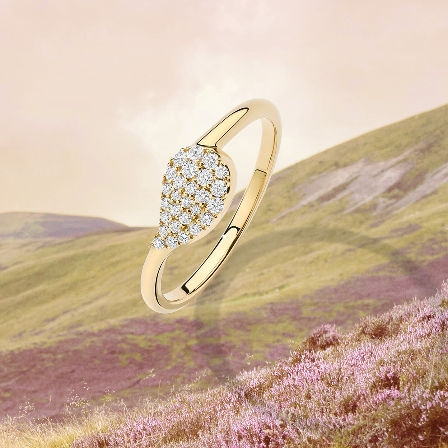 Yellow gold and diamond ring over a background of wildflowers on a hillside.