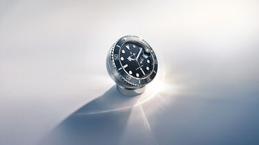accessoires Rolex &ndash; Maison Birks