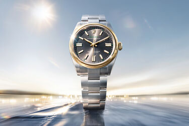 Nouveaux mod&egrave;les Rolex Oyster Perpetual 41 2026 | Maison Birks