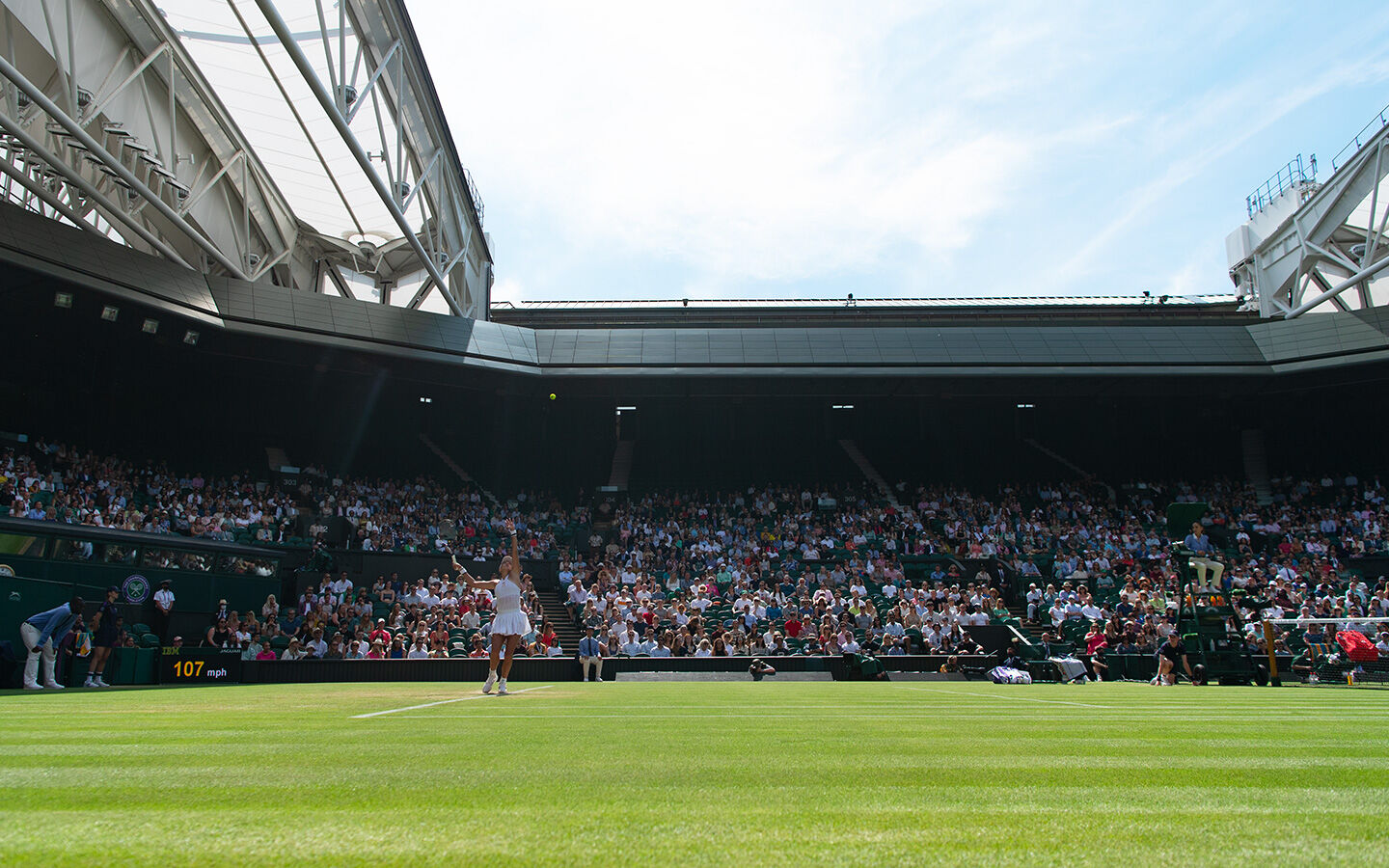 Woman serves on a grass court