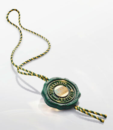 rolex-oyster-story-Maison Birks