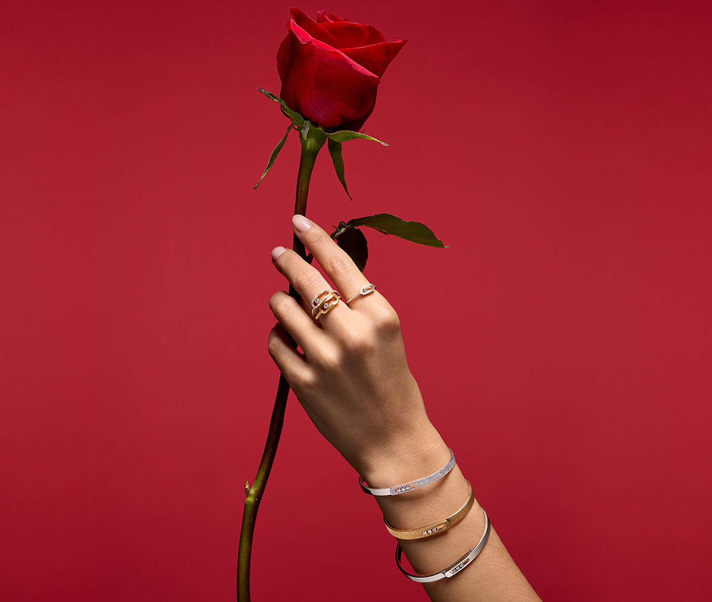A woman holding a rose wearing Maison Birks jewellery on a red background.