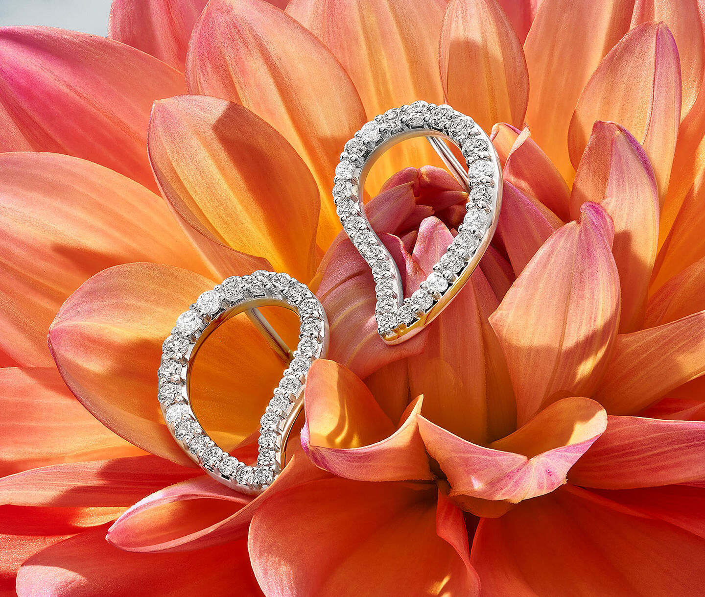Birks Pétale diamond earrings resting on a flower. 