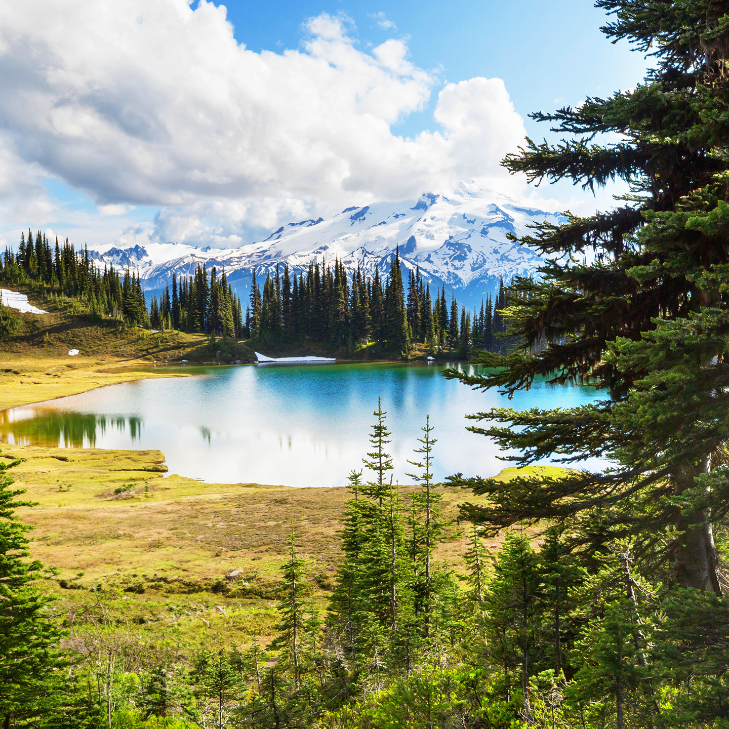 A background of Canadian nature. 