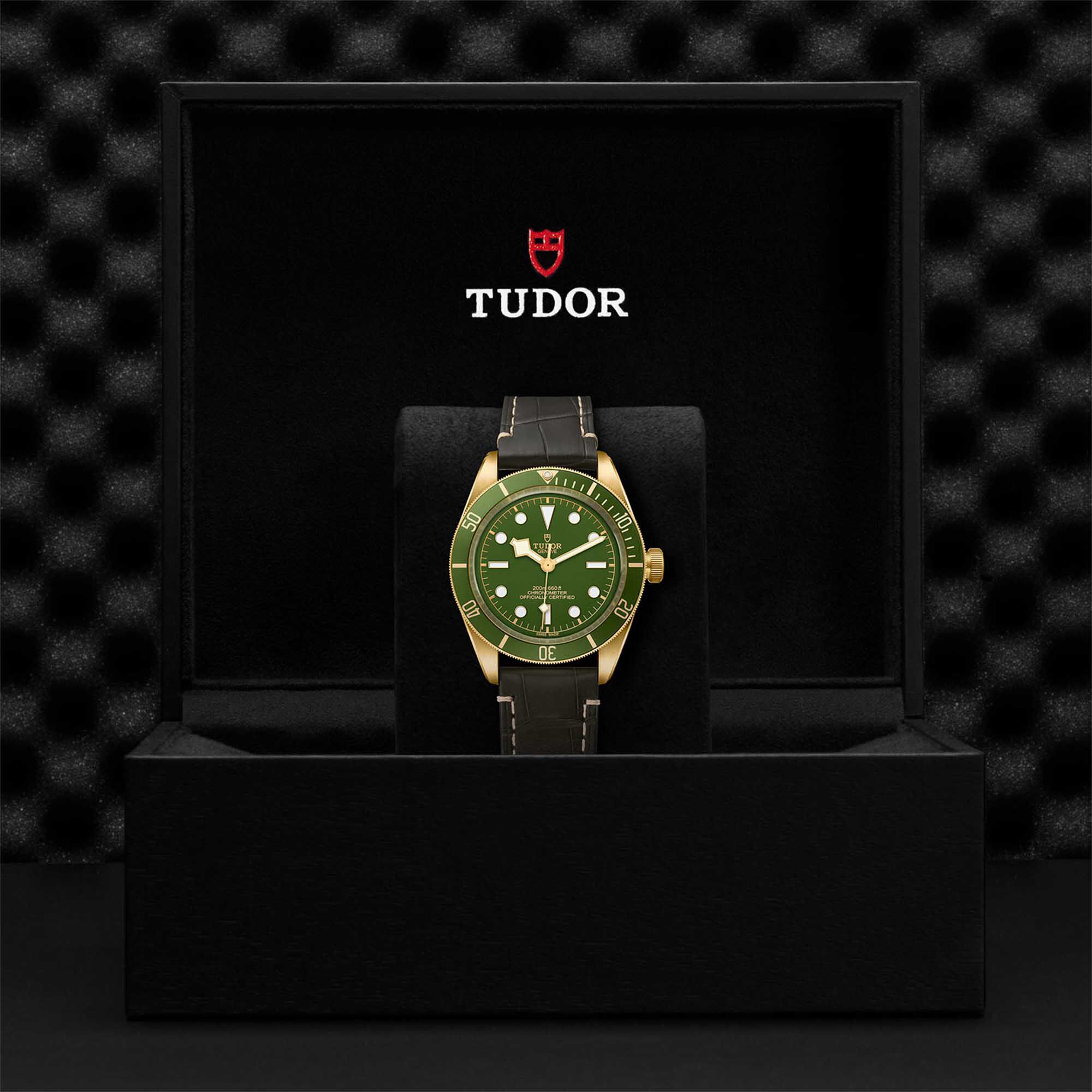 Tudor black best sale bay 58 unboxing