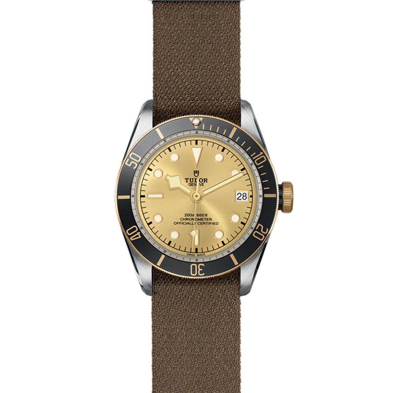 Tudor Black Bay S&G M79733N-0006 Front image number 0