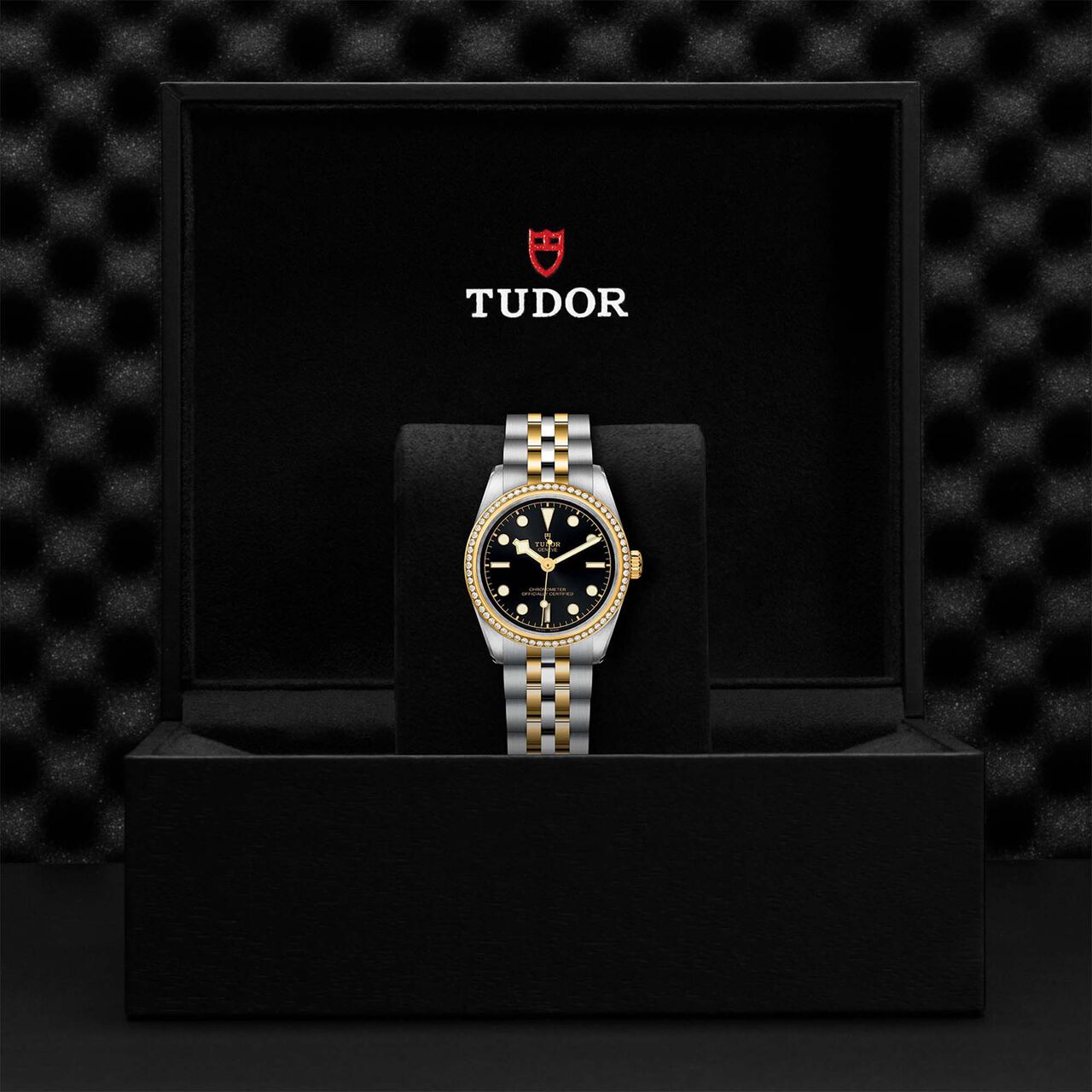 Tudor Black Bay 31 S&G M79613-0001 image number 4