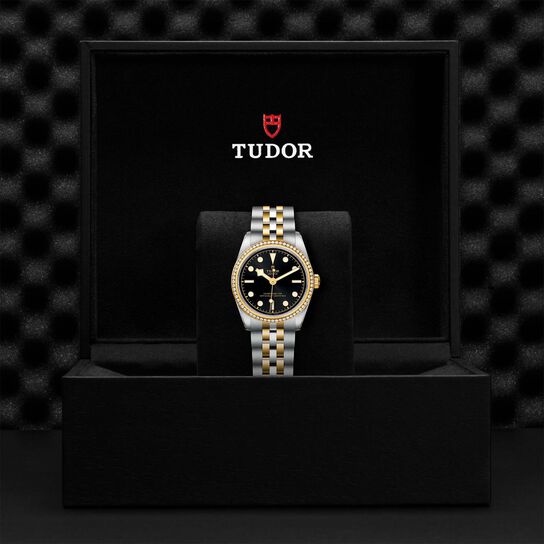 Tudor Black Bay 31 S&G M79613-0001 image number 4