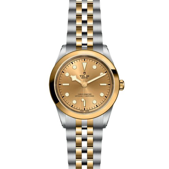 Tudor Black Bay 41 S&G M79683-0005 Front image number 1