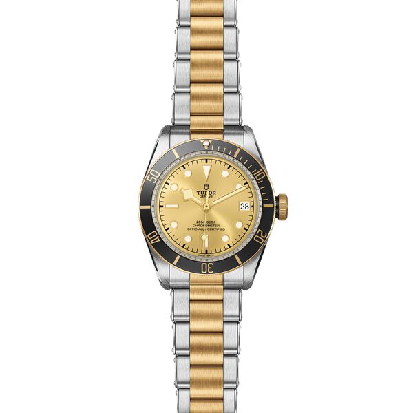 Black Bay Automatic 41 mm Yellow Gold and Stainless Steel