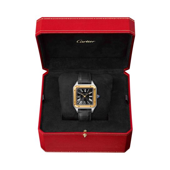 cartier santos dumont large limited edition manual 43 yellow gold steel w2sa0015 box image number 2