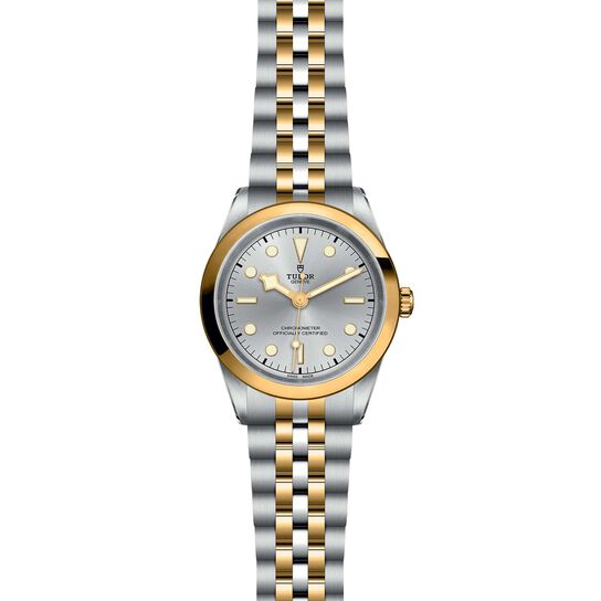 Tudor Black Bay 41 S&G M79683-0002 image number 1