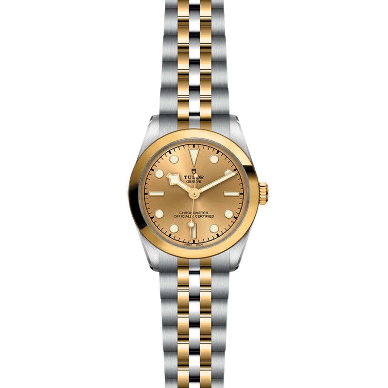 Tudor Black Bay 31 S&G M79603-0005 Front image number 1