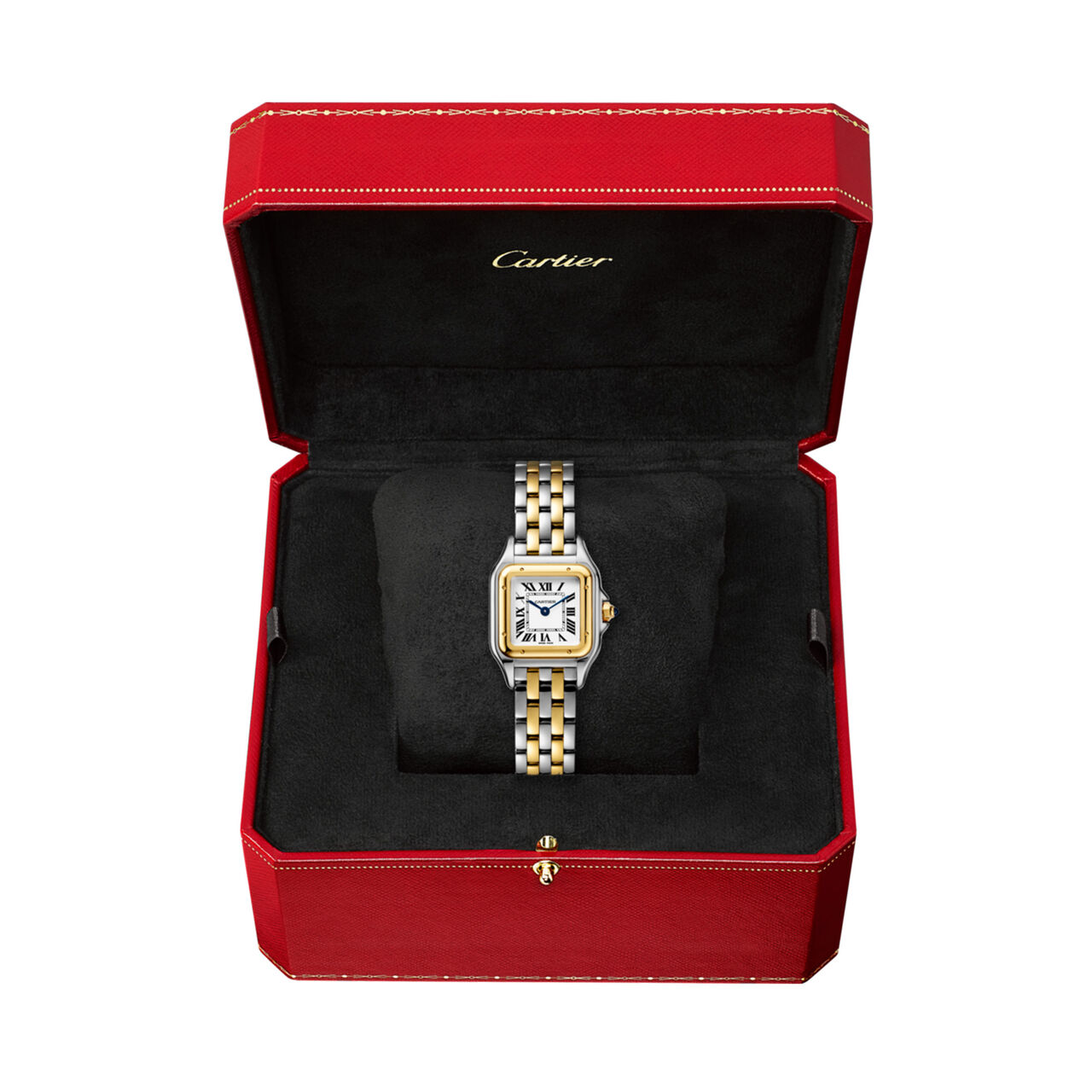 Panthère de Cartier Small Model Quartz 30 mm Yellow Gold and Stainless Steel image number 2