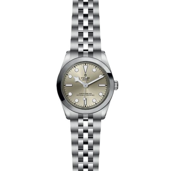 Tudor Black Bay 31 M79600-0003 image number 1