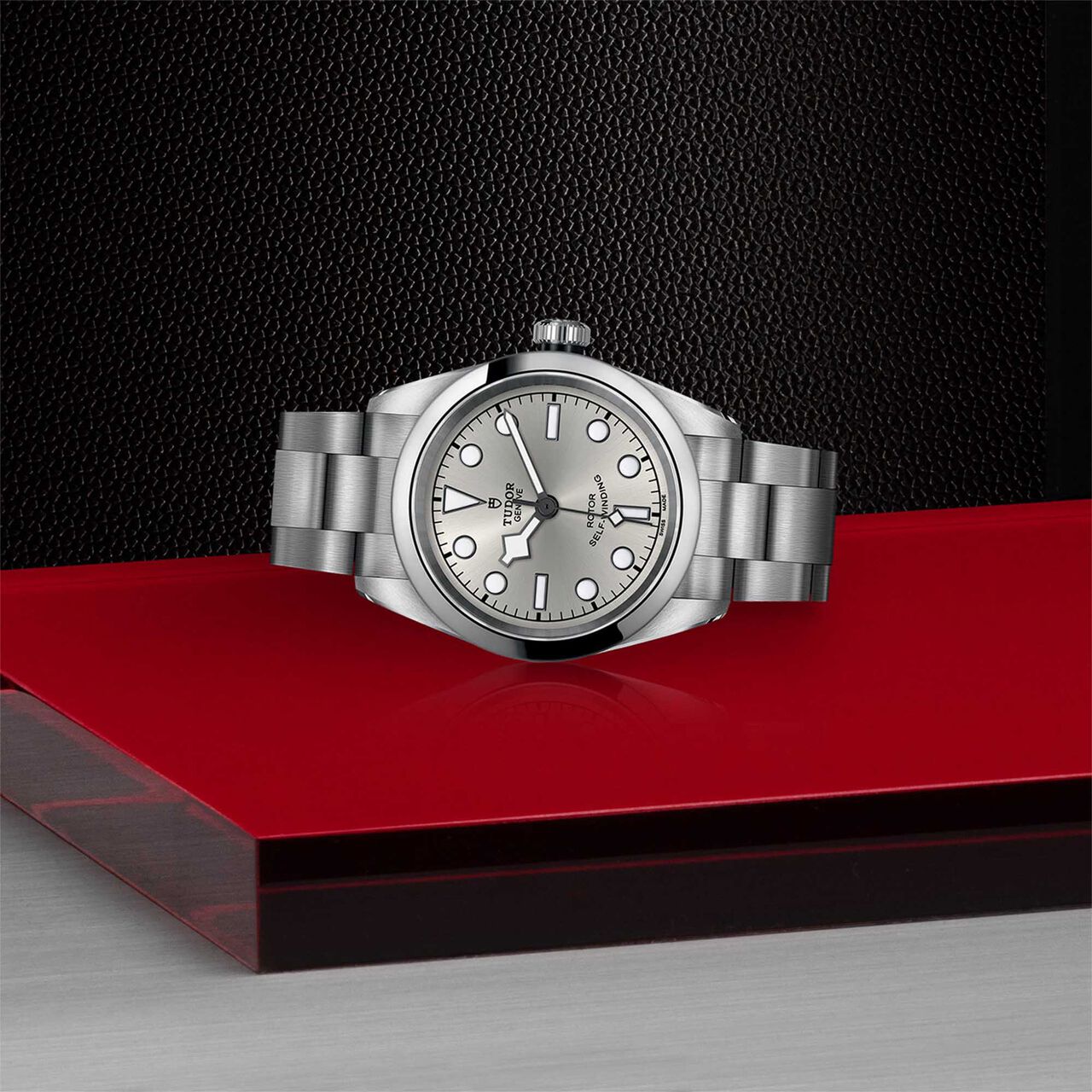 Tudor Black Bay 32 32MM Steel Case image number 3