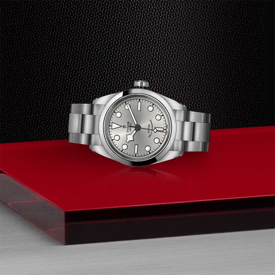 Tudor Black Bay 32 32MM Steel Case image number 3