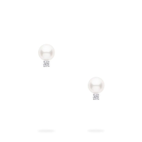 7-7.5 mm AA Akoya Pearl Earrings in White Gold