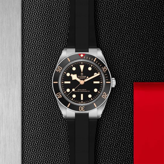 TUDOR Black Bay 58 Automatic 39 mm Stainless Steel image number 1