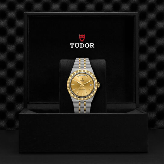 TUDOR Royal 40 mm automatique en acier inoxydable et or jaune image number 3