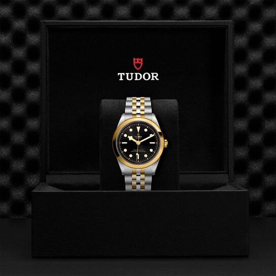 Tudor Black Bay 41 S&G M79683-0001 image number 4