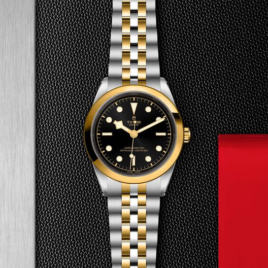 Tudor Black Bay 41 S&G M79683-0001 image number 2