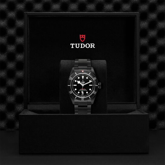 41 MM PVD Steel Case. Steel Bracelet image number 4
