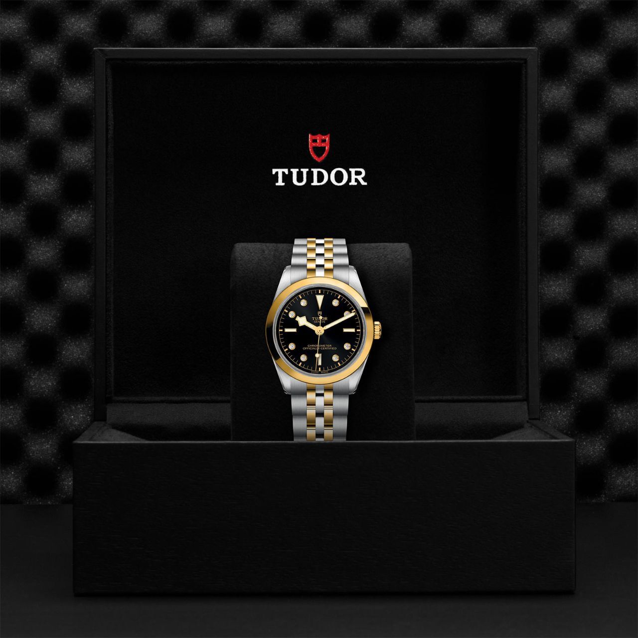 Tudor Black Bay 36 S&G M79643-0006 Box image number 3
