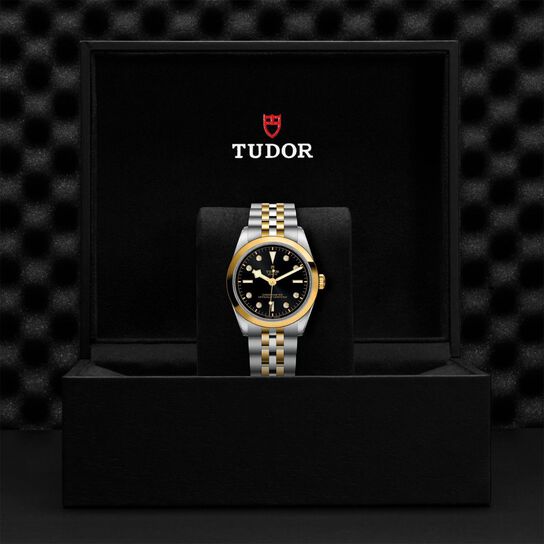 Tudor Black Bay 36 S&G M79643-0006 Box image number 3