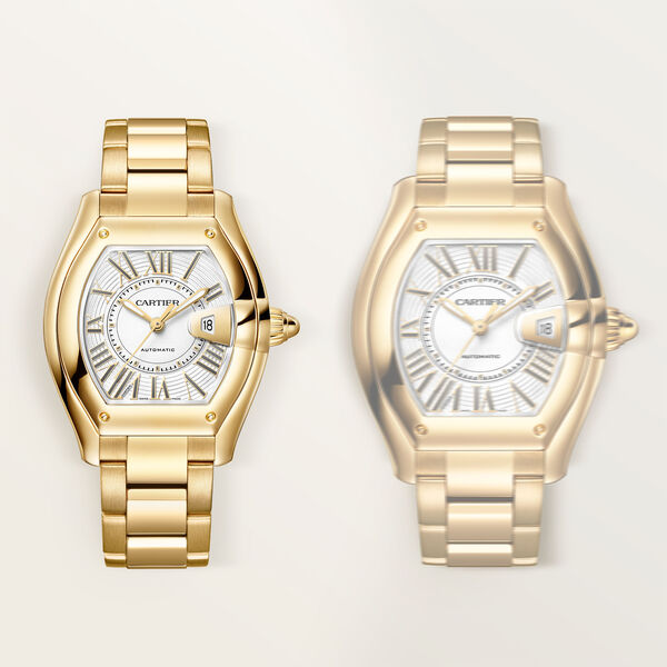 Roadster Medium Automatic 42 X 35 mm Yellow Gold