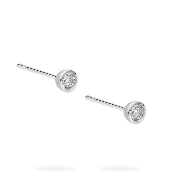 Sterling Silver and Diamond Earrings