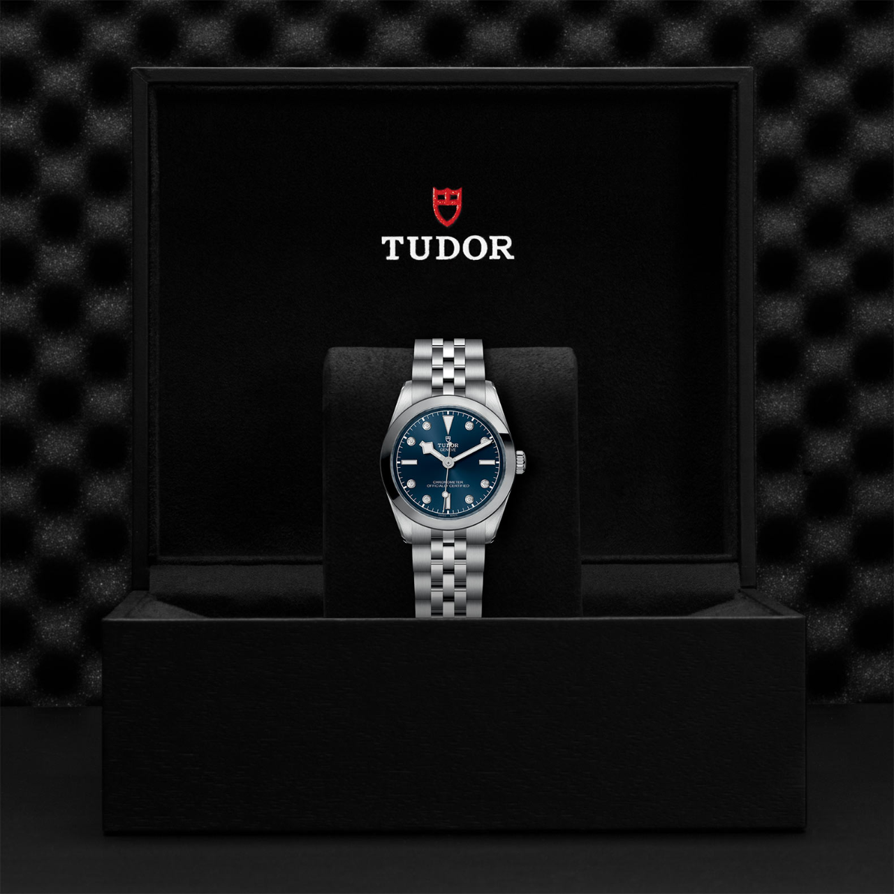 Tudor Black Bay 31 M79600-0005 Box image number 4