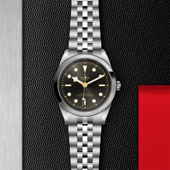 Tudor Black Bay 41 M79680-0001 Flat image number 2
