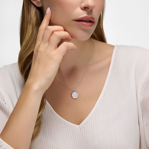 Pendentif Capricorne du zodiaque en argent sterling