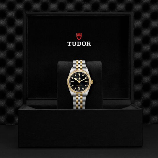 Tudor Black Bay 31 S&G M79613-0005 Box image number 3