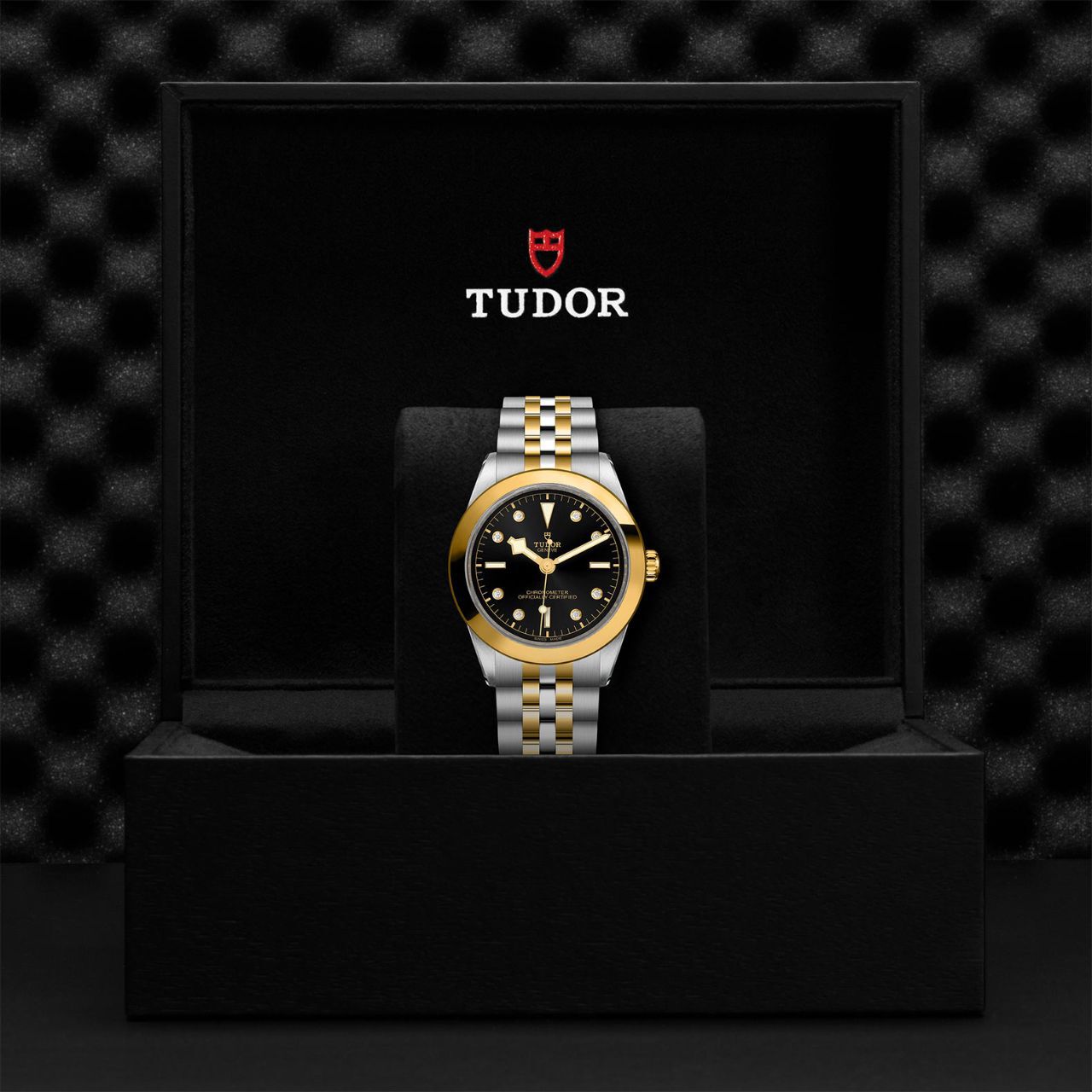 Tudor Black Bay 39 S&G M79663-0006 Box image number 3