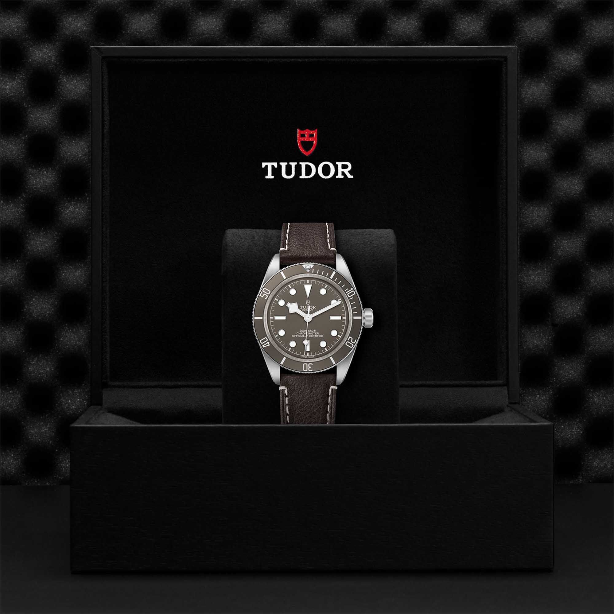 Tudor | Black Bay Fifty-Eight 925 | M79010SG-0001 | Maison Birks