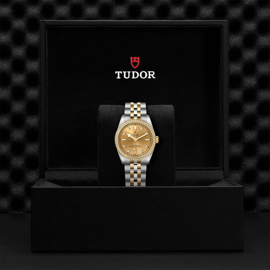 Tudor Black Bay 31 S&G M79613-0007 Box image number 3