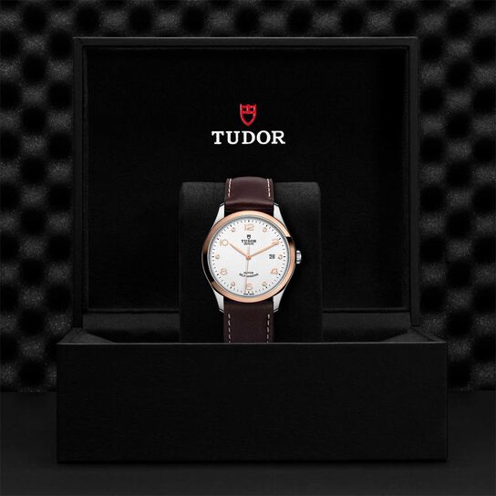 Tudor 1926 41MM Steel Case image number 4